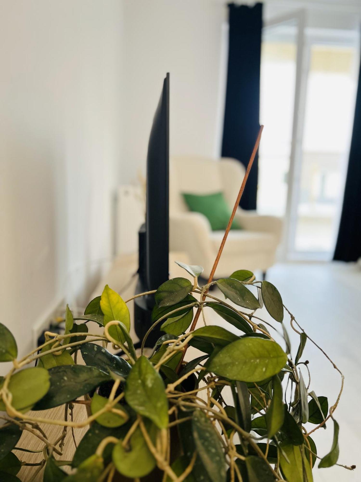 Apartmán Airport Gardens Loft Otopeni Exteriér fotografie